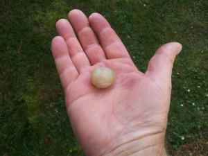 bienfaits, attraction, pouvoir attraction, magnetisme, remede naturel, astuce sante